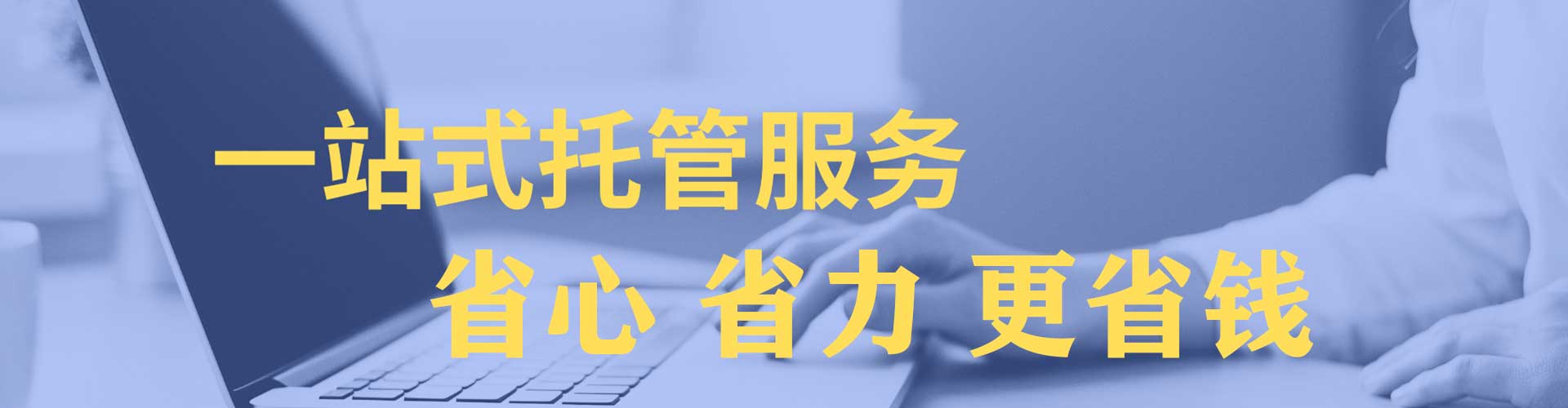 月湖竞价托管